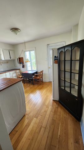 Appartement à louer, Montréal (Le Sud-Ouest) - Photo 4
