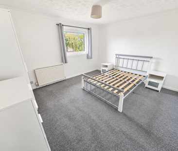 3 bedroom house to rent - Photo 6