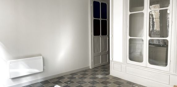 Location Appartement 1 pièce 25m² ANNONAY 07100 - Photo 2