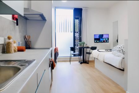 Platinum Plus Studio - Photo 3