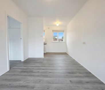 Newly Renovated Oasis of Absolute Convenience! - Photo 5