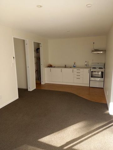 Quiet Bluff Hill Flat - Photo 4