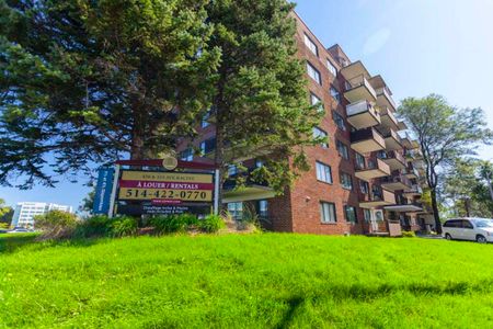 Carrefour Dorval - 1 Bedroom - Photo 2