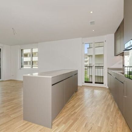 Appartement nouvellement construit dans un emplacement fantastique directement au bord du lac à Rapperswil-Jona - Photo 1