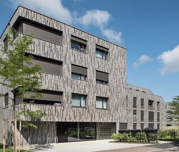 Endlich daheim - Moderne Eleganz mit Gartensitzplatz - Foto 4