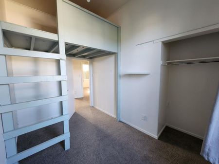 Mount Cook 3 Bedroom Downstairs Flat - Photo 5