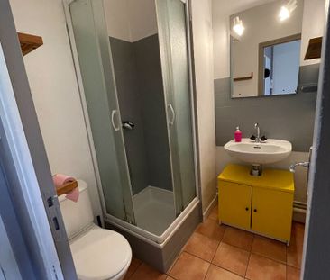 Location Appartement 1 pièce 14m² - Photo 3
