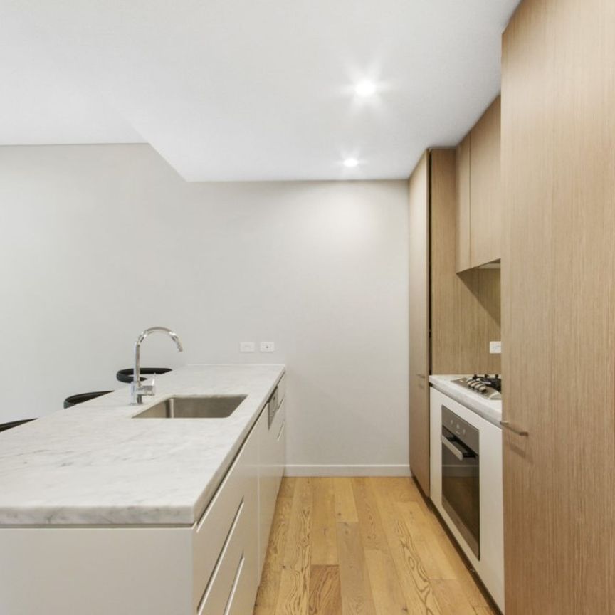 Experience Luxury Living in Lane Cove's Prestigious Botanic Development - Photo 1