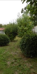 MAISON NIORT - 3 pièce(s) - 57.91 m2 - Photo 3