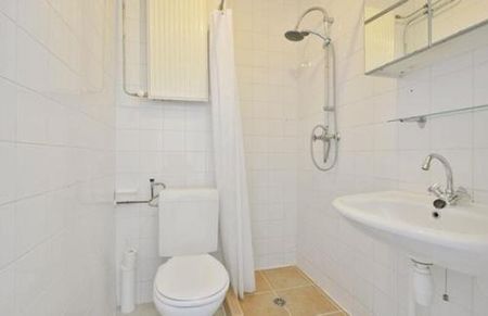 Groen van Prinstererstraat 1051 ED Amsterdam - foto 4