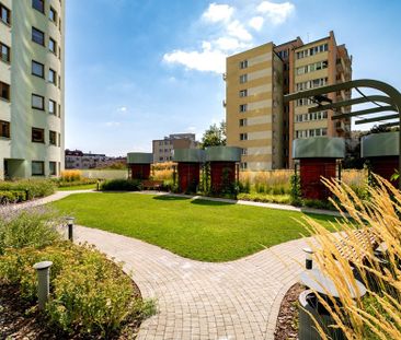 Świetna lokalizacja, ogrzewany ogród zimowy - Photo 1