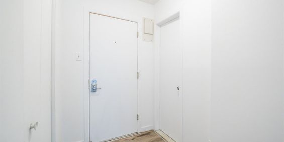 Studio 1 Bath - 1440 Boulevard Henri-Bourassa Est, Montréal - Photo 3