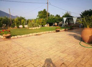 Διαμέρισμα για ενοικίαση - Ανθηδώνος, - Photo 5