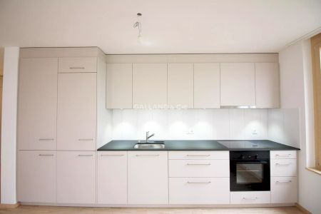 Magnifique appartement de 3½ pièces avec terrasse et jardin - Photo 2