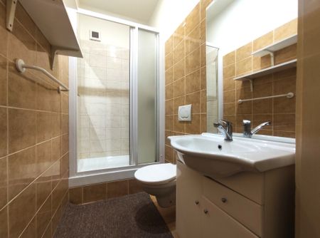 Pronájem bytu 1+1 41 m², Daliborova , Ostrava - Fotografie 3