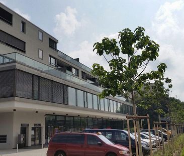 2.5 Zimmerwohnung in Zürich - Foto 5