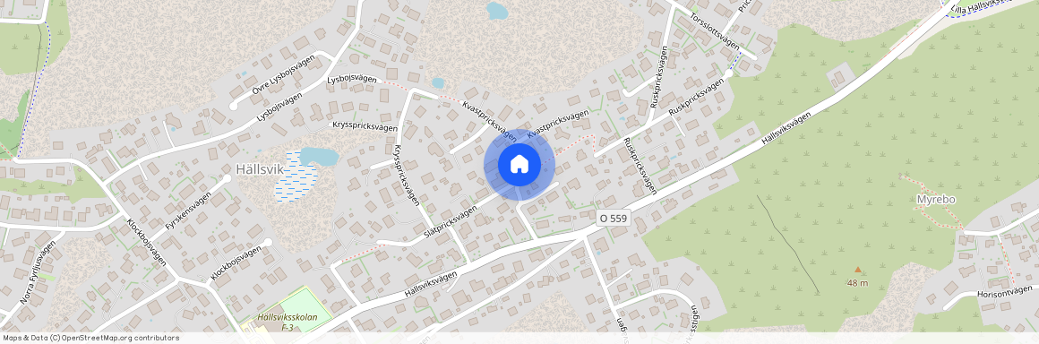 Kvastpricksvägen, Torslanda