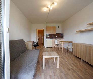 Möbliertes 1-Raum-Apartment mit Balkon in Plauen - Foto 1