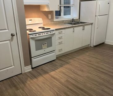 44 Regina Avenue #BSMT 1 - Photo 3