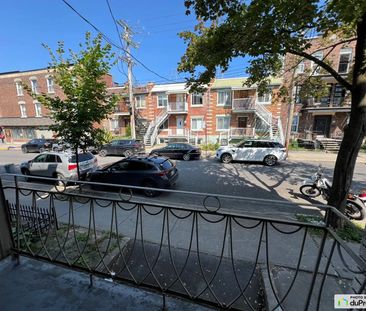 8060, Rue Saint-Dominique, Le Plateau-Mont-Royal à louer - Photo 5