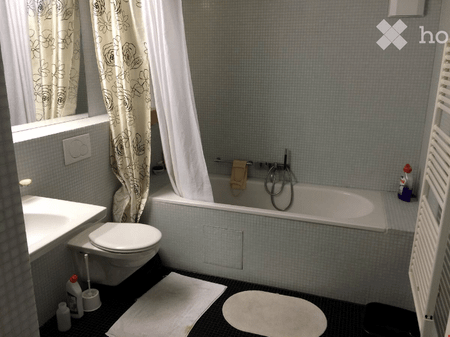 Modern Furnished Apartment in Biel/Bienne - Foto 4