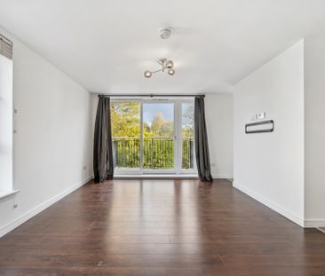 Haughview Terrace - Photo 3