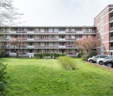 Te huur: Appartement Okeghemlaan in Breda - Photo 1