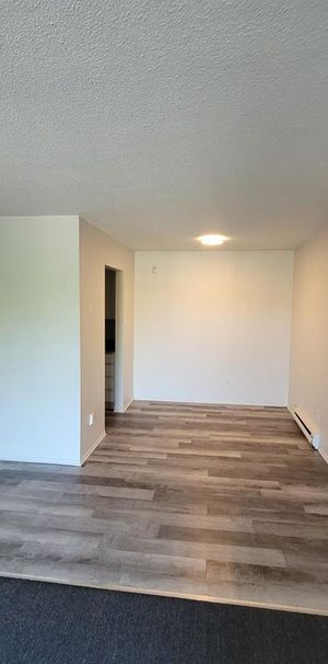 31 Rue Des Flandres (Gatineau) Magnifique 4 1/2 à Louer ! - Photo 1
