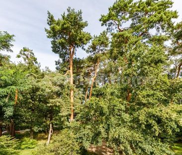 Am grünen Rand Berlins - Photo 6