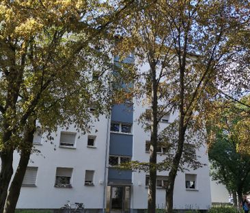 barrierefreie Wohnung im EG mit Aufzug - saniert in Feudenheim - Photo 2