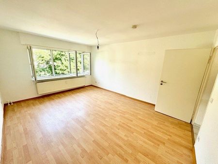 Schöne renovierte 3 ZKB-Wohnung in Mannheim-Neckarau - Foto 2