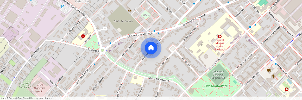 ul. Aleksandra Puszkina, Wójtowa Wieś, Gliwice, śląskie