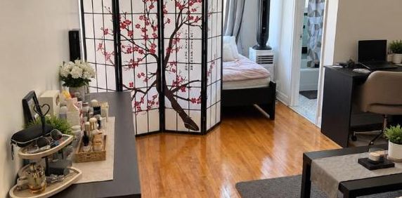Studio - Montréal - $1,195 /mo - Photo 2