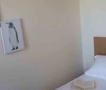 1 Bedroom - Photo 3