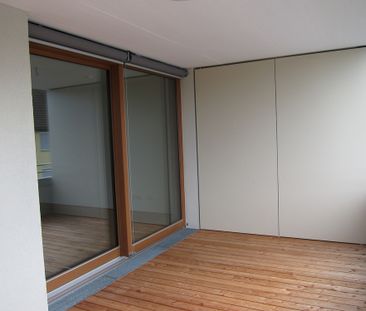 Schöne Wohnung mit Terrasse zu vermieten - Photo 3