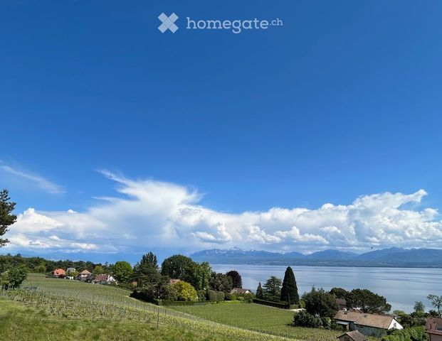 4.5 Zimmer - Photo 1