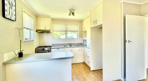Sunny, pet-friendly and available now! - Photo 1