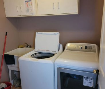 593 Ray Lawson Boulevard #Bsmt - Photo 4