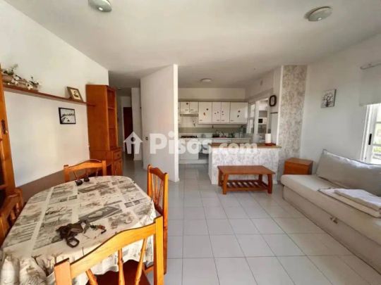 Piso en alquiler en Candelaria - Foto 1