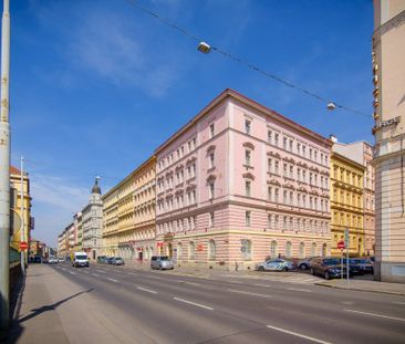 Pronájem pokoje v centru Prahy – Praha 2, Nové Město - Photo 4