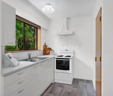 263A Huatoki Street, Upper Vogeltown - Photo 6