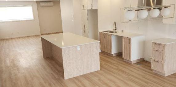 Appartement Neuf 1450' carrés St-Hyacinthe - Photo 2