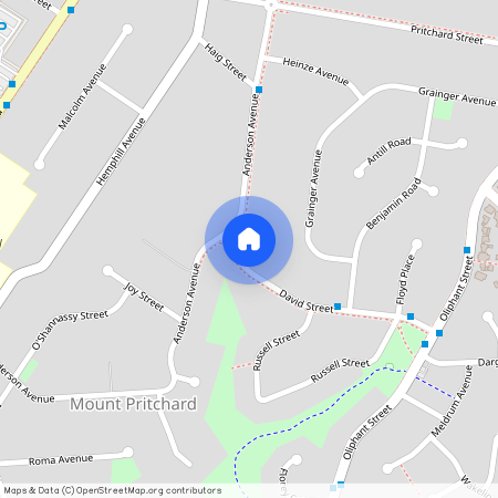 35 David Street, NSW 2170, Mount Pritchard