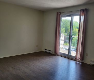 270 Brittany Drive, Vanier North, Ottawa, ON - Photo 6