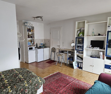 Wunderschöne möblierte 1-Zimmer-Wohnung in der Nähe vom Park - Foto 1