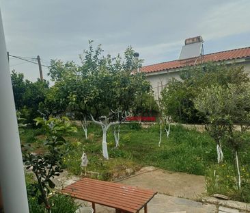 Διαμέρισμα για ενοικίαση Χαλκούτσι (Ωρωπός) - Φωτογραφία 2