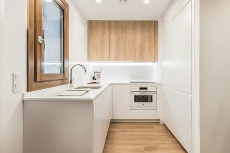 Calle de Santa Ana, Madrid, Community of Madrid 28005 - Photo 4