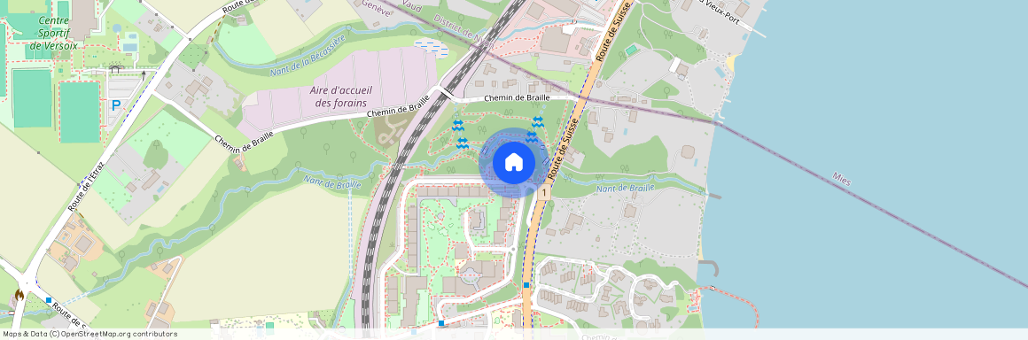 1290, Versoix, Grand-Montfleury, 36