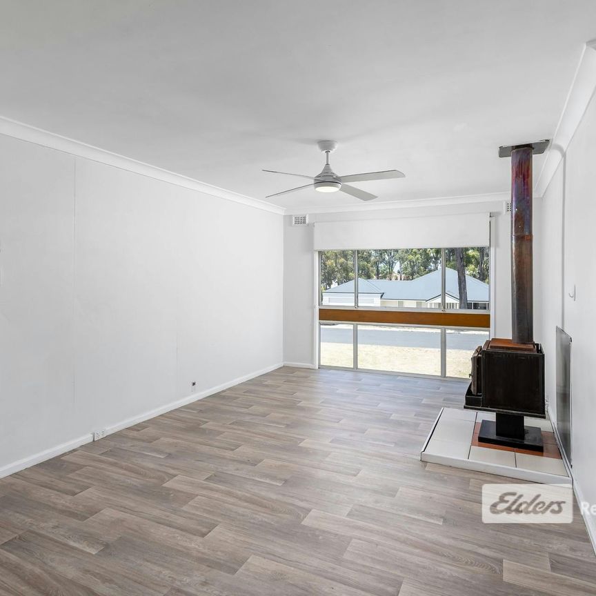 Family Home Collie - Be Quick to View - Photo 1