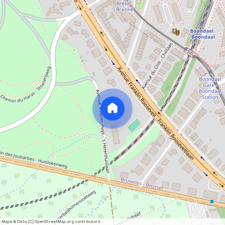 AVENUE FRANKLIN ROOSEVELT 119, 1000 Brussel